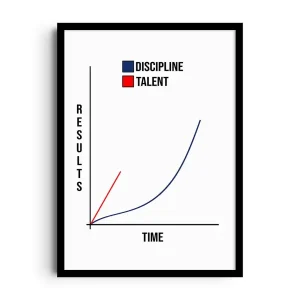 DISCIPLINE CURVE
