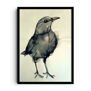 FEATHER TRACE