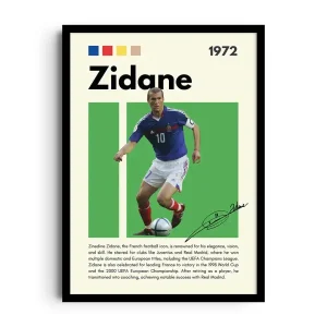 ZIDANE DYNASTY